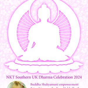 SDC-2024-festival of peace