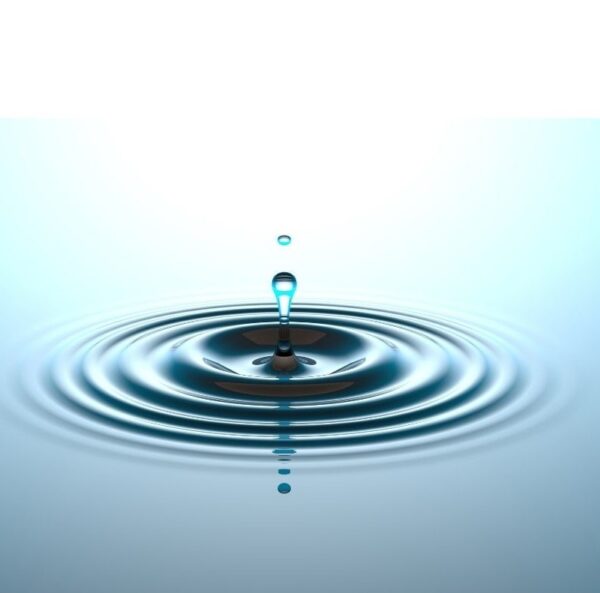 Four Noble Truths image